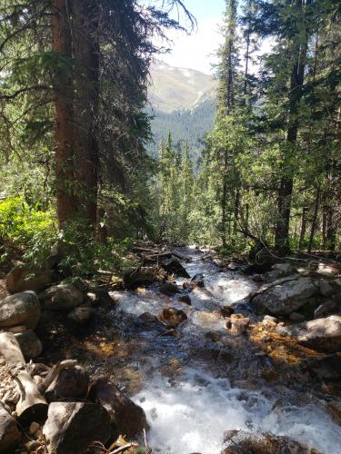 A small stream in the Arapaho National Forest, Colorado