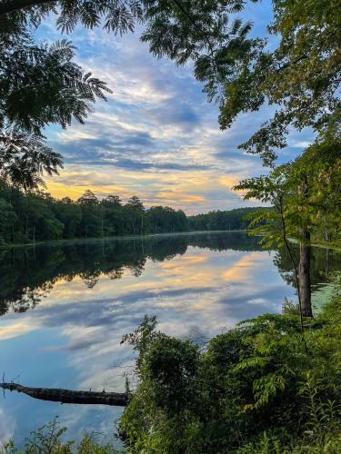 Calm and Serene Hidden Lake in Alabama, U.S
