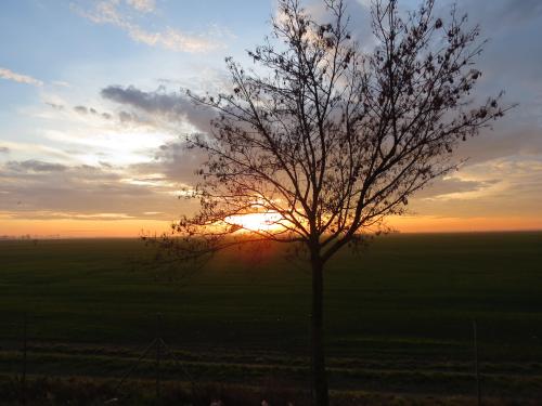 Sunset in Bratislava