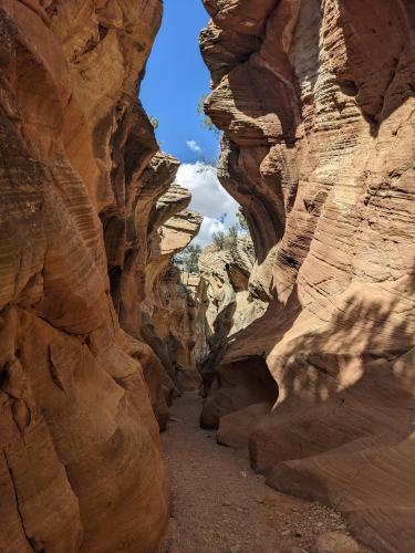 Slot canyon in Grand Staircase/Escalante National Monument, Utah, USA