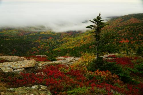 Acadia Nation Park in late October Few years ago from the top of Cadillac Mountain. .