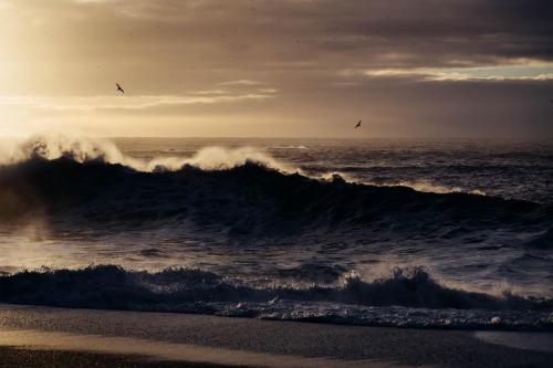 A Winter Morning on Reynisfjara Beach, Iceland