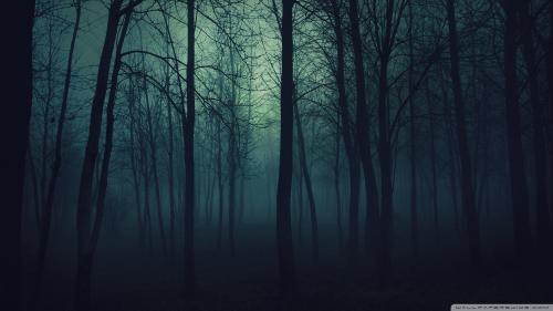 Dark Forest