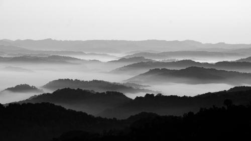 Appalachian fog in the valleys