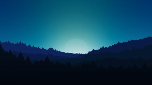 Minimalistic Forest at Night