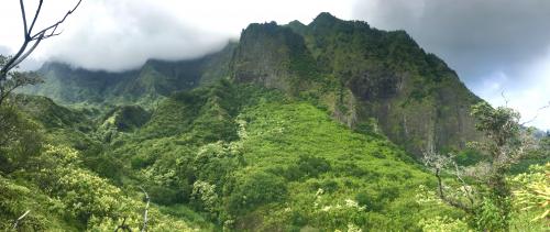 Head in the clouds - Maui Hawaii