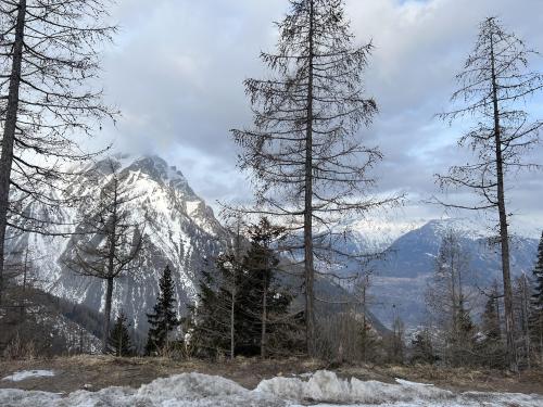 Rothwald, Swiss Alps  4032 x 3024.