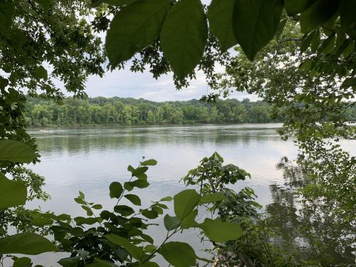 Pony Pasture Trail, James River Park System, Richmond, VA  4032 x 3024