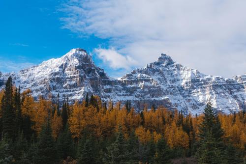 Larch Valley. Banff National Park, Alberta, Canada