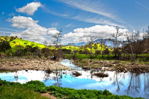 Malibu Creek State Park, California, USA  California looks so stunning after it rains.