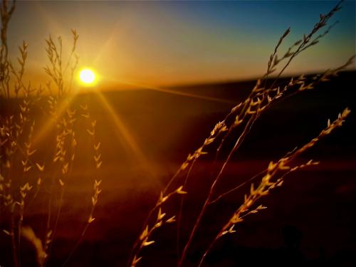 Golden Oklahoma sunset