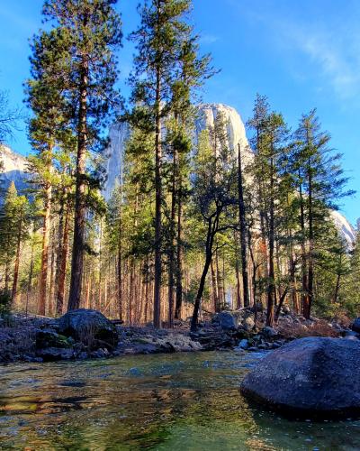 El Capitan being coy, Yosemite National Park, CA, USA