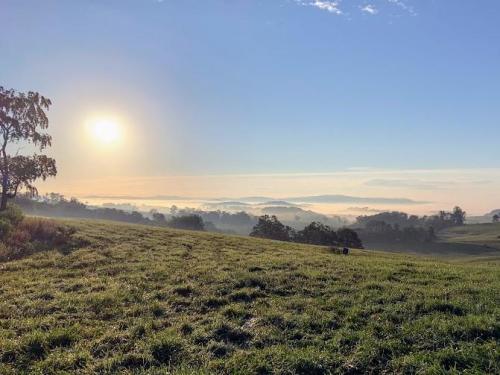 Misty Morning in the Appalachians of Southwest Virginia