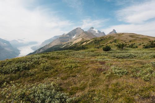 Parker Ridge in the Canadian Rockies  ‪6016 x 4016‬