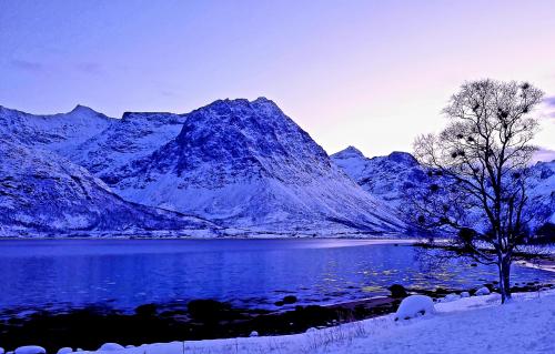 A blue day in Tromvik, Norway near Tromso  [3250x 2074]