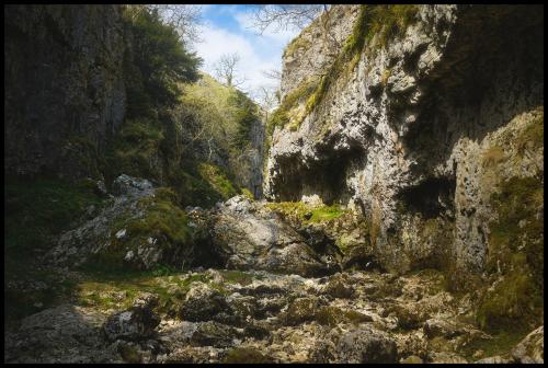 Trollers Gill, a deep and now dry limestone ravine: Yorkshire Dales, England, UK
