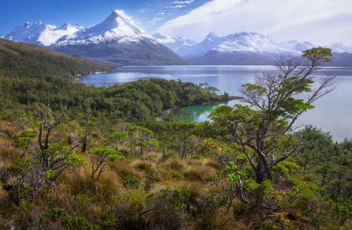 The untouched wilderness of the Patagonian fjords, Chile