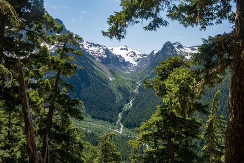 Olympic national park