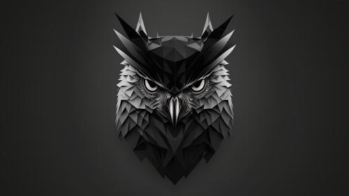 Owl b&amp;w