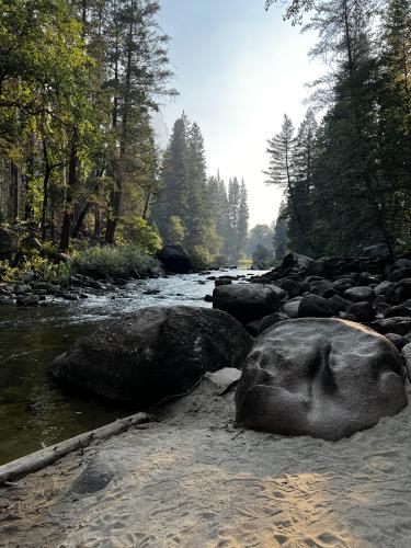 Lonely rock in Yosemite