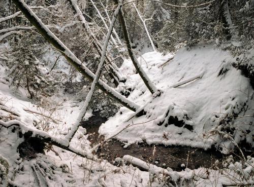 BC Creek in January.