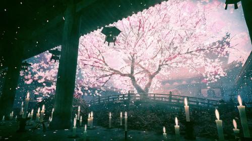 Sacred Sakura []