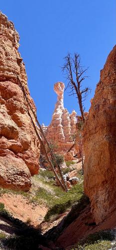 Thor’s hammer, Bryce Canyon NP, Utah