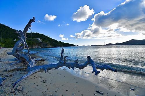 Hansen Bay Beach USVI