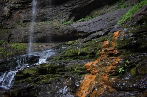 Cloudland Canyon State Park, Ga, USA