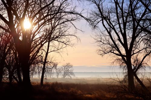 Umatilla, OR  []