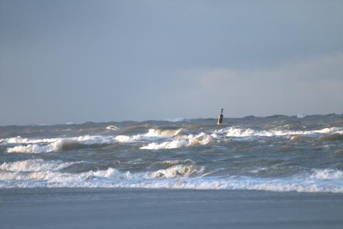 Sea surf at the beach Texel island, Nederland