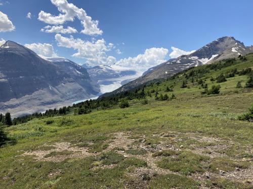 Parker ridge - Banff national park Alberta