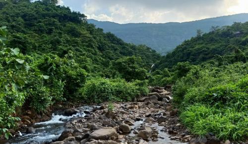 Small stream flowing through rocks, Neral India