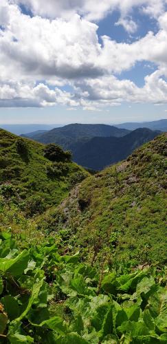 Tbatana, Georgia