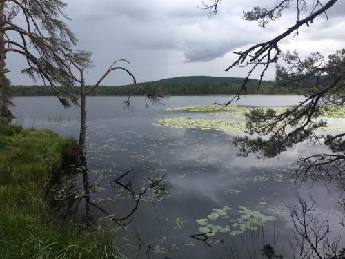 Lake in the Cairngorms, Scotland