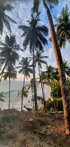 kosgoda beach Sri Lanka