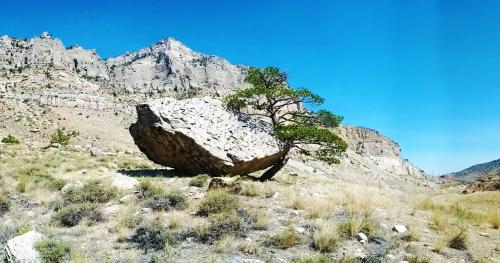 Cody WY,  OC