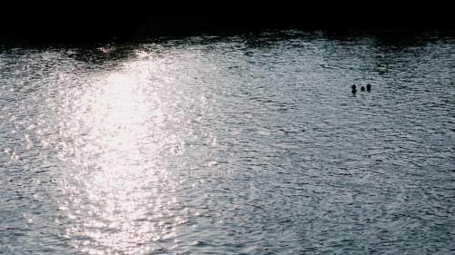 Kiddos having a swim together. Vang Vieng, Laos