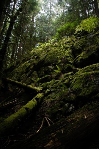 Mossy Rocks - British Columbia, Canada