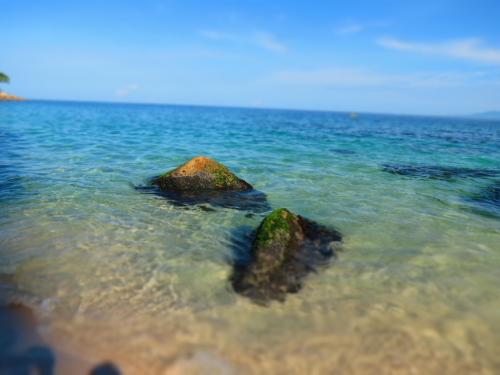 The green bluw water of Puerto Vallarta beach - Mexico