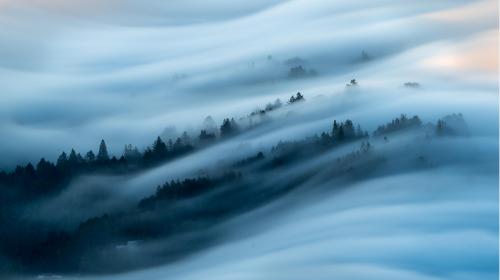 - Fog Wave