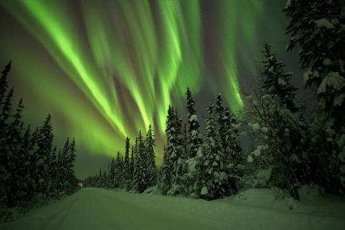 Winter light show Fairbanks, Alaska