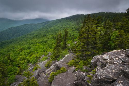 Cloud forest in the West Virginia Highlands, USA. Seldom seen view.