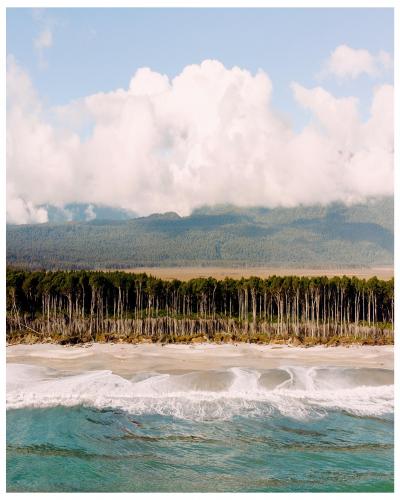 Bruce Bay, New Zealand.