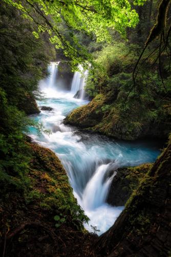 A waterfall in the Columbia River Gorge receives some afternoon light, bringing the colors of the water and surrounding foliage to life.
