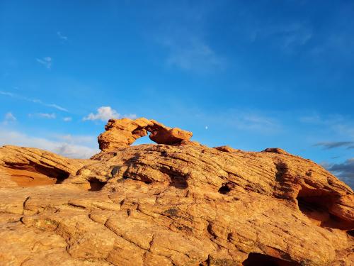 Red Hills Desert Garden, St. George, Utah.