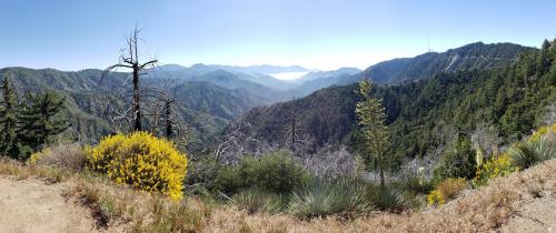 Angeles National Forest