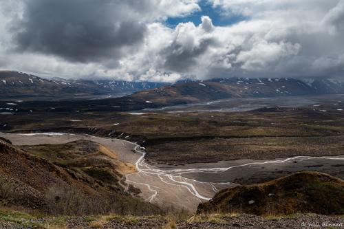 Denali National Park during the summer months!