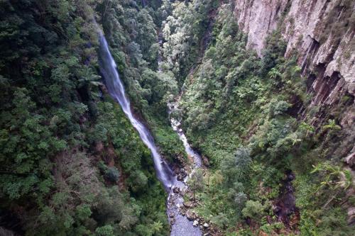 The gorgeous Coomera Falls, deep in Lamington National Park, QLD, Australia