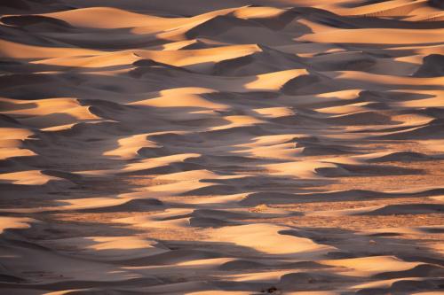 Sand Waves - Death Valley National Park, USA